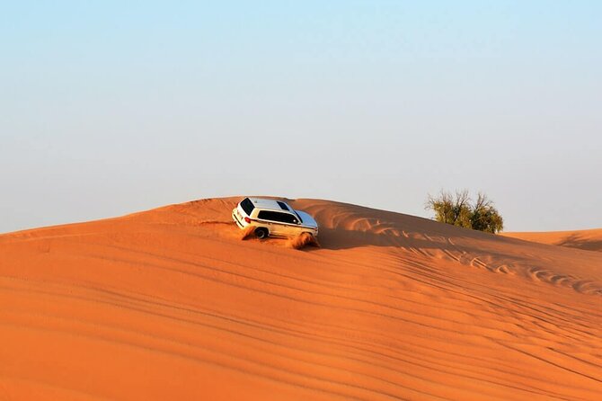 Desert Safari Redsand Dunes With BBQ Dinner in Dubai