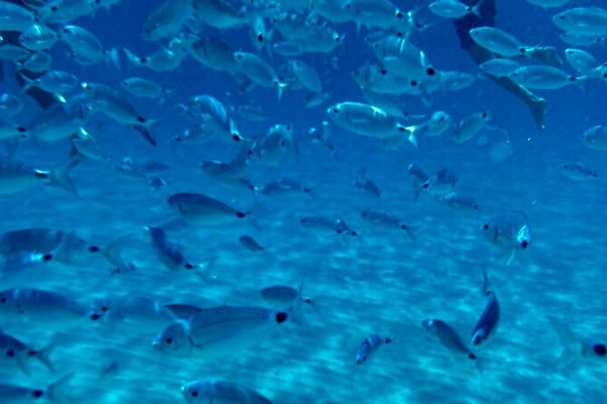 Devils Saddle Tour: 3 Snorkeling Stops/Soft Drinks/Actioncam - Tour Overview and Features