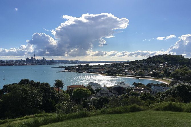Devonport Volcanoes Afternoon Tour From Auckland