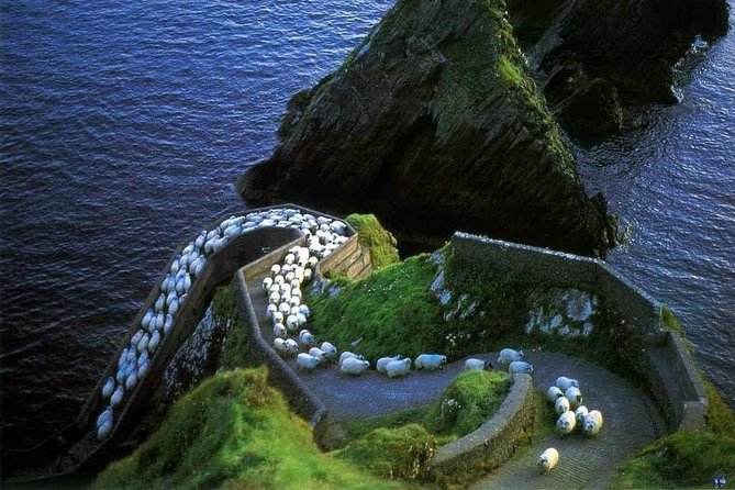 Dingle Peninsula Four Hour Private Tour - Tour Details