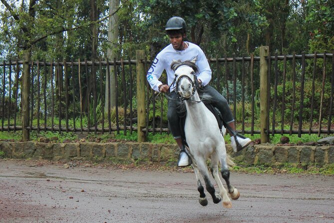 Discover Addis: Guided Expedition Through Ethiopias Capital
