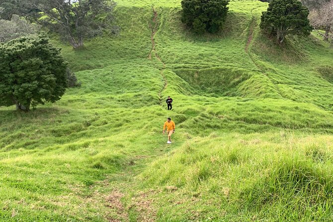 Discover Auckland City With Tour Guide