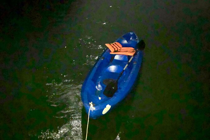 Discover Bioluminescent Plankton Using Kayak in Lan Ha Bay - Overview of the Bioluminescent Kayaking Experience
