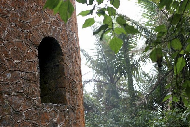 Discover El Yunque: Half-Day Rainforest Tour - Tour Overview