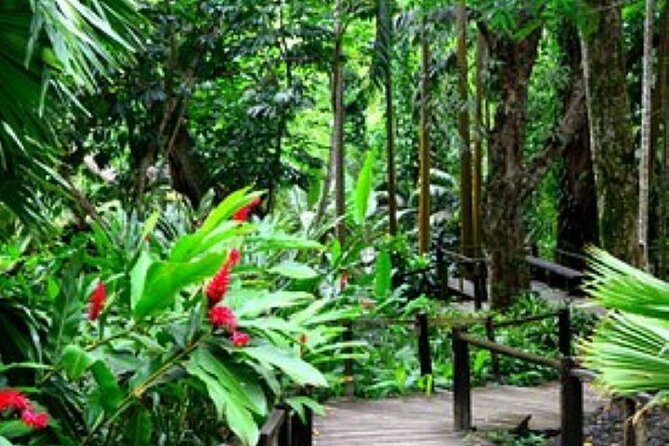 Discover Fijis Hidden Gems: Eco Park, Pottery Village & Dunes!