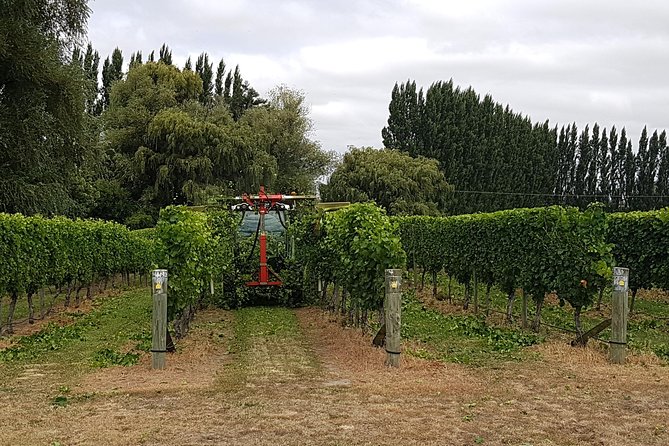 Discover Marlborough Wine - Afternoon Marlborough Wine Tour - Overview of the Tour