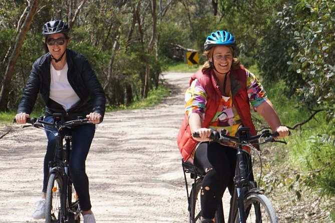 Discover Mclaren Vale on Ebikes – Full Day