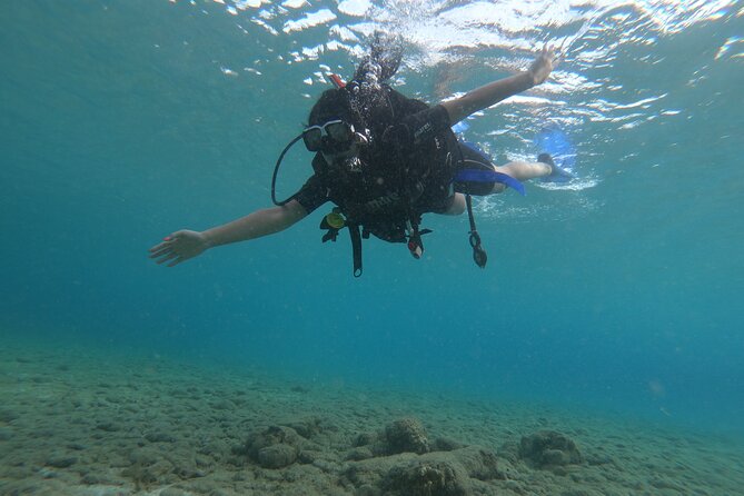 Discover Scuba Diving - Meeting and Pickup Information