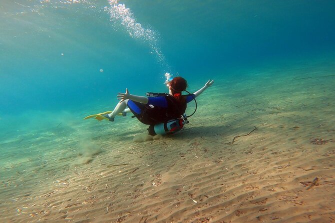Discover Scuba Diving Experience in Nea Makri - Overview of the Experience