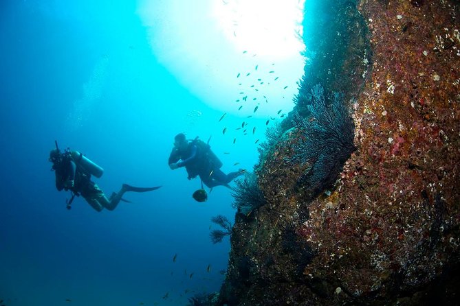 Discover Scuba Diving for Beginners With MANTA in Cabo San Lucas - Overview of Scuba Diving Experience