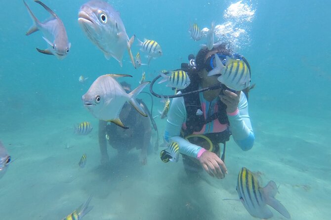 2 Best Scuba Diving Experiences In San Juan