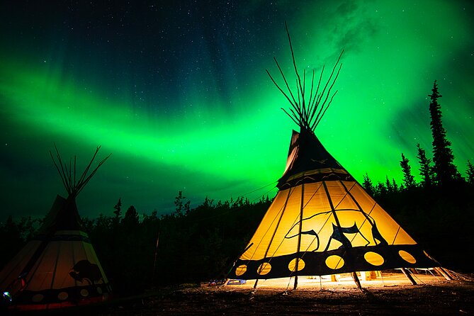 Discover Whitehorse With Northern Lights and Yukon Wildlife Tour