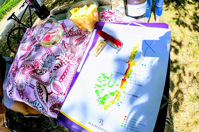 Discovery by Bike & Tasting in the Vineyards - Tour Overview and Experience