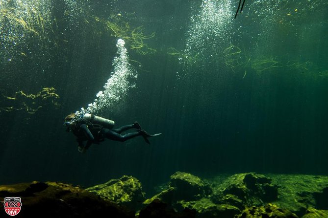 Discovery Scuba Diving - Overview and Location