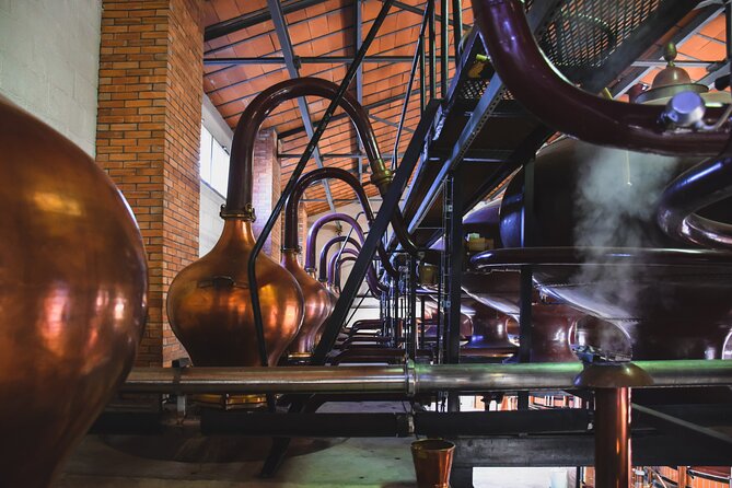 Discovery Tour Braastad Cognac - Tour Overview
