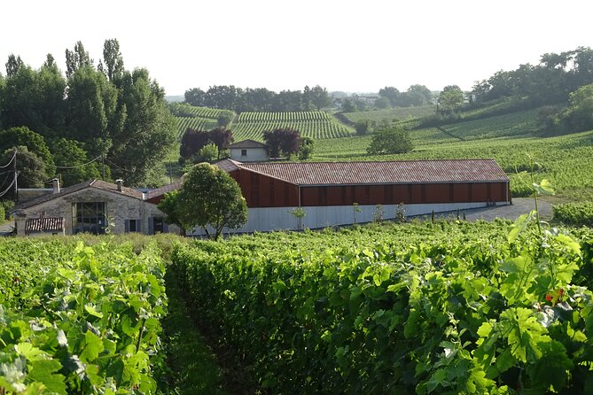 Discovery Visit of Château Rol Valentin With Tasting - Overview of the Experience
