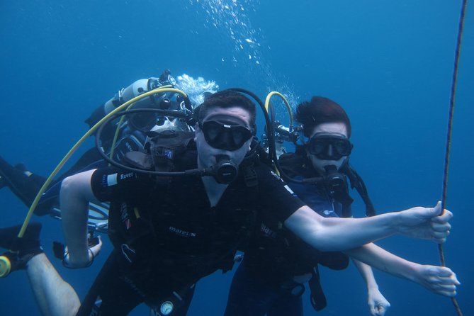 Diving and / or Snorkeling Day From a Catamaran