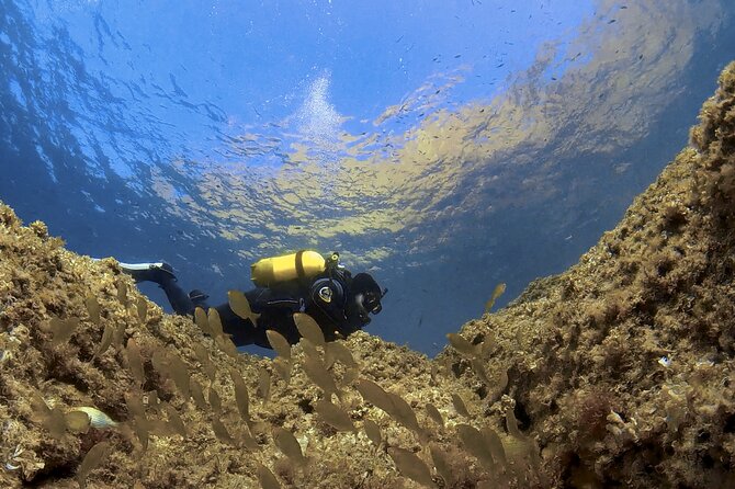 Diving Baptism in the Marine Reserve of Cabo Tiñoso - Overview of Diving Baptism