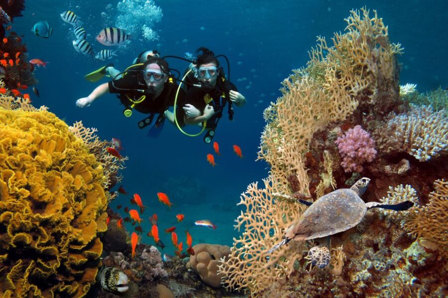 Diving Tour in Alanya - Tour Overview
