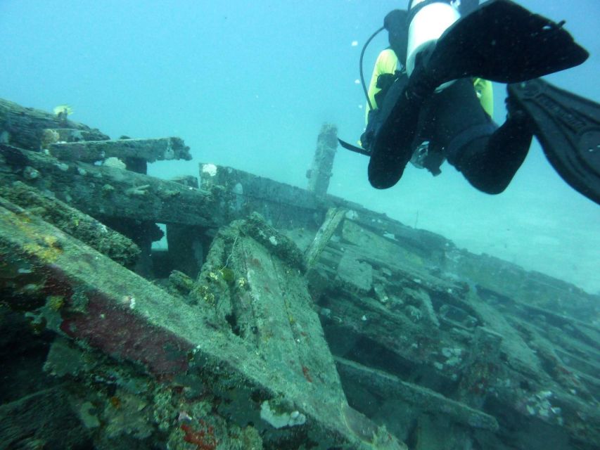 Diving Tour Karimunjawa (Private Tour)