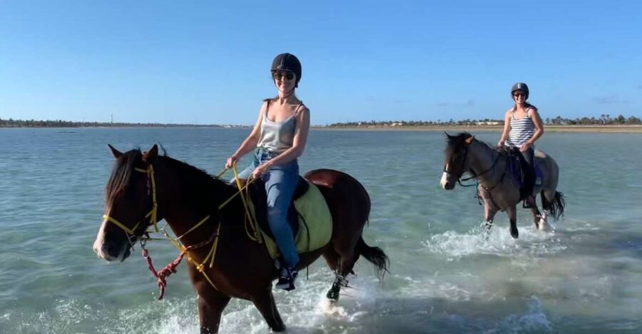 Djerba: 2-Hour Lagoon Horse Riding Experience