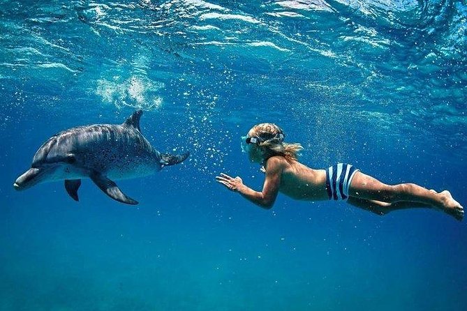 Dolphin Encounters, Ile Aux Benitier & Crystal Rock: Full-Day (Lunch & Transfer)