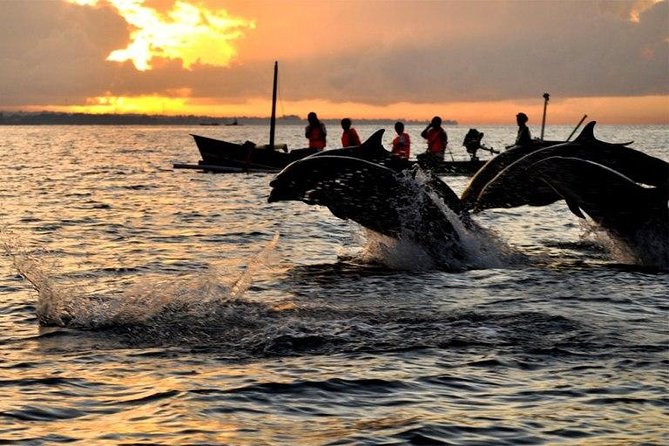 Dolphin Tour and Sunrise Watching in Lovina Beach - All Inclusive