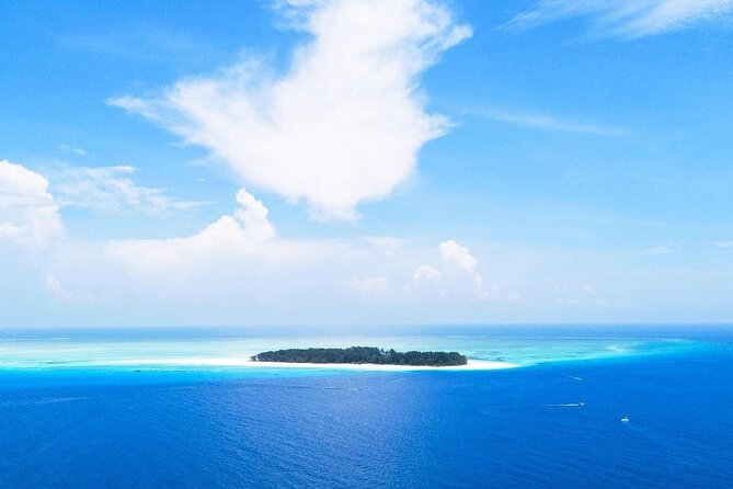 Dolphin Tour, Jozani Forest Tour, Kuza Cave Tour, Paje Beach,The Rock Restaurant - Tour Highlights