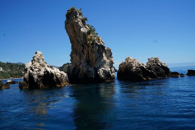 Dolphin Tour Taormina