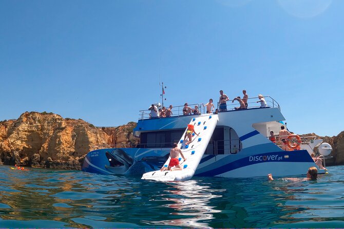 Dolphin Watching Half-Day Cruise From Lagos