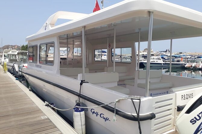Dolphin Watching in Muscat