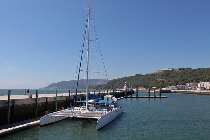 Dolphin Watching Tour by Catamaran From Lisbon