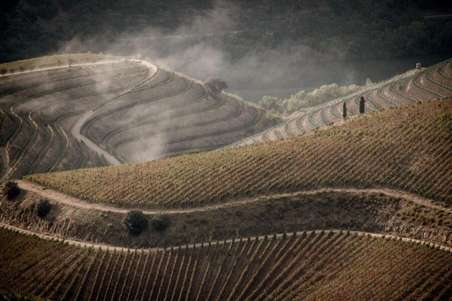 Douro Valley: 1 Day Landscape Photo Tour With a Pro