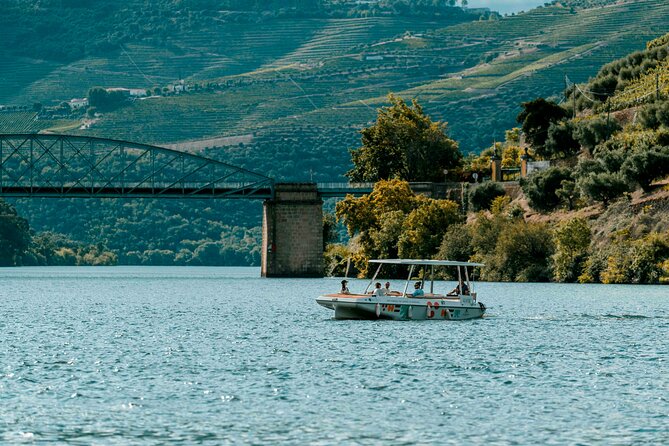Douro Valley: 1h Solar Boat Experience - Two Wine Tasting