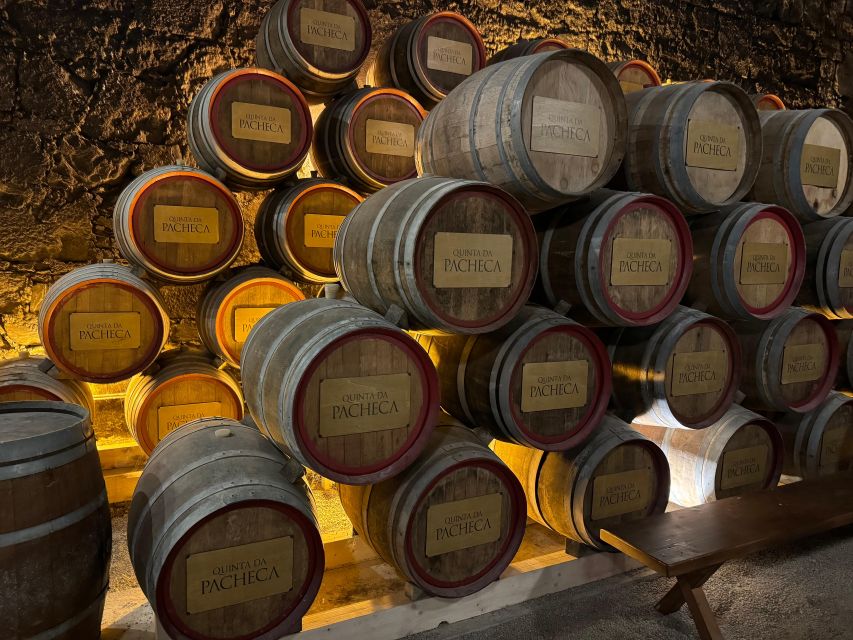 Douro Valley Tour With 2 Wine Tastings Included - Tour Overview