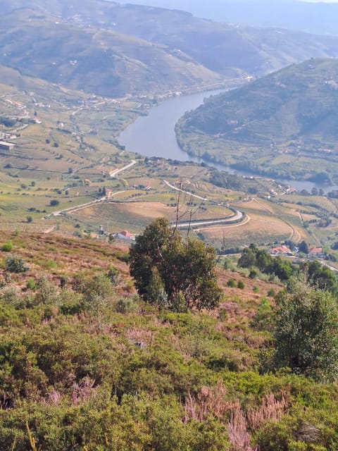Douro Valley Tours, Braga Guimarães, Santiago De Compostela