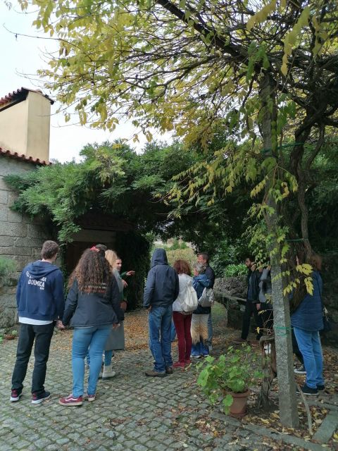 Douro & Vinho Verde Private Tour