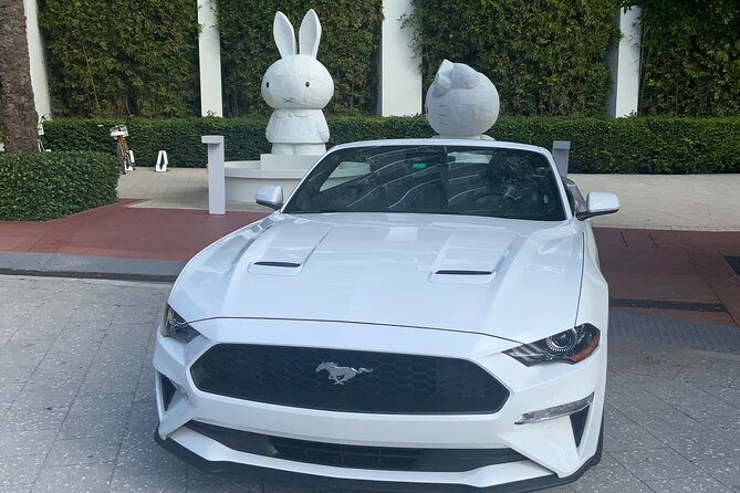 Drive a Mustang Convertible - Overview of Rental Experience