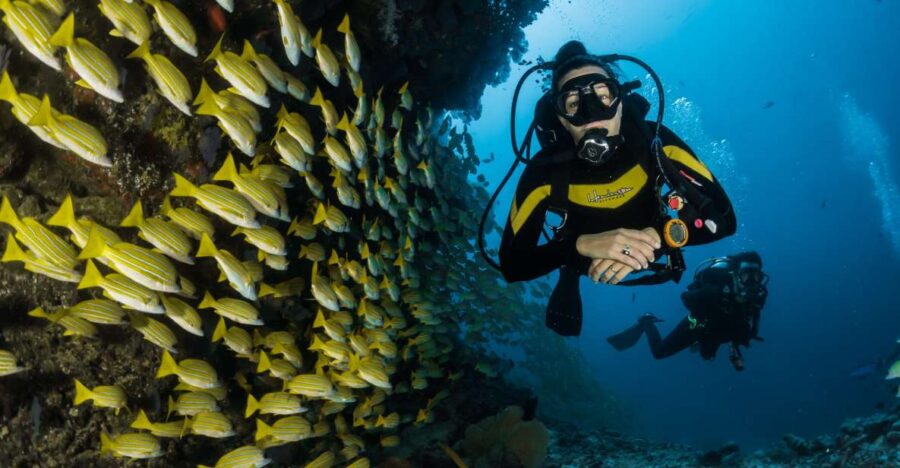 DSD Discover Scuba Diving for a Beginner Or Certified