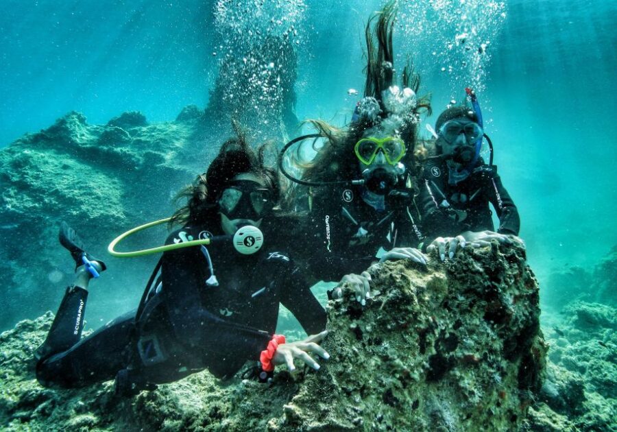 3 Best Scuba Diving Experiences In Paros