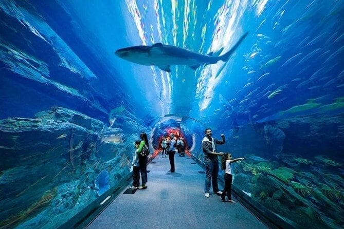 Dubai Aquarium & Under Water Zoo With Penguin Cove Option