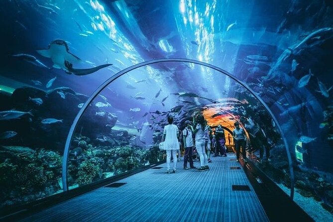 Dubai Aquarium With Optional Glass Bottom Boat Tour & Transfers