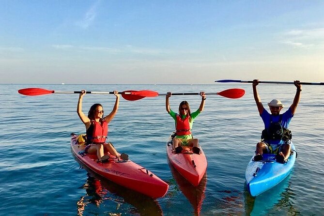 Dubai City Tour With Kayaking - Tour Overview