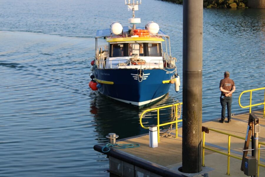Dublin: Howth Cruise and Dine Experience