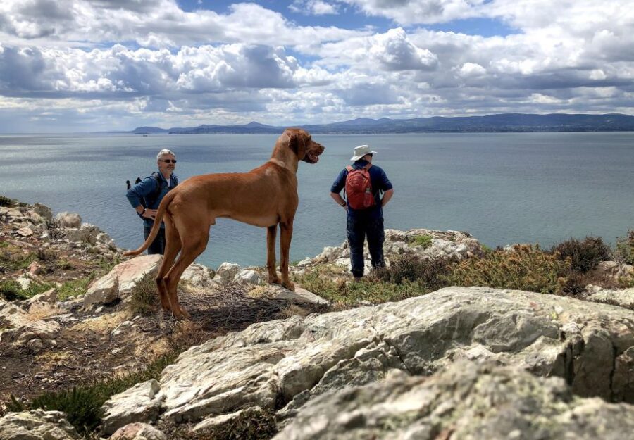 Dublin: Howth Peninsula Coastal Hiking Tour - Tour Overview