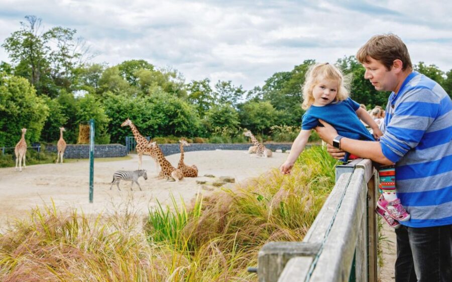 Dublin Zoo Skip-the-line Tickets and Private Transfers