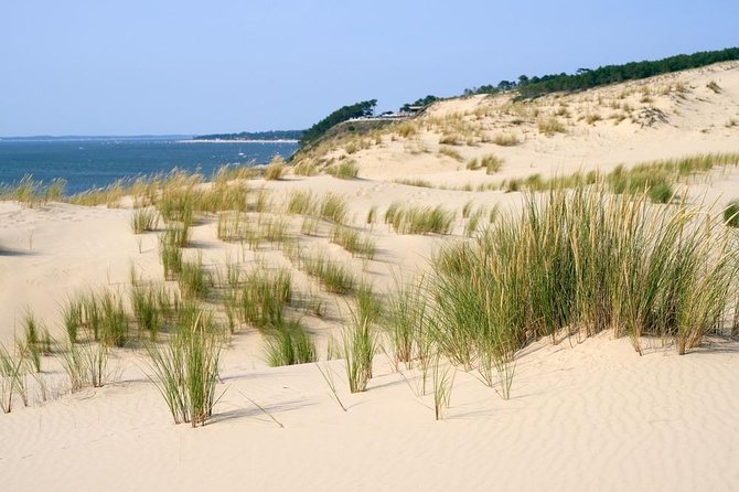Dune Du Pilat and Oysters Tasting in Only 1 Hour Away From Bordeaux ! What Else? - Inclusions and Amenities