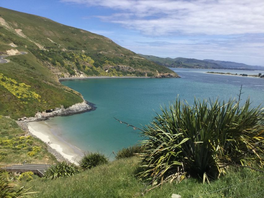 Dunedin: City Highlights and Otago Peninsula Scenery - Tour Overview