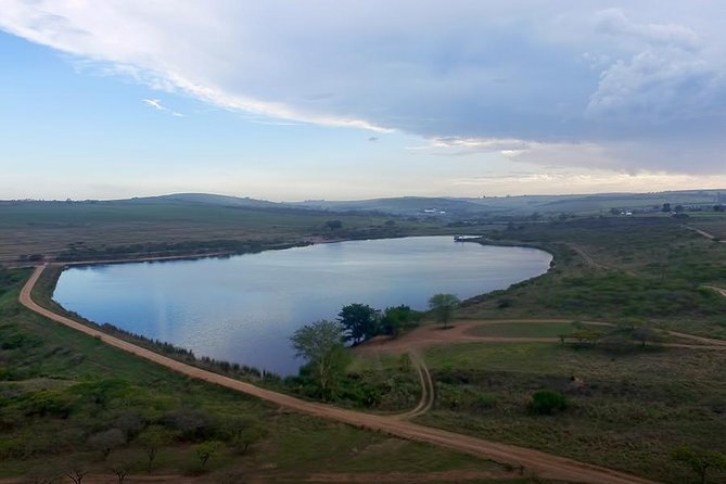 Durban Shore Excursion: Private Small Group Tala Game Reserve