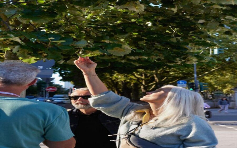 Düsseldorf: Climate Walk